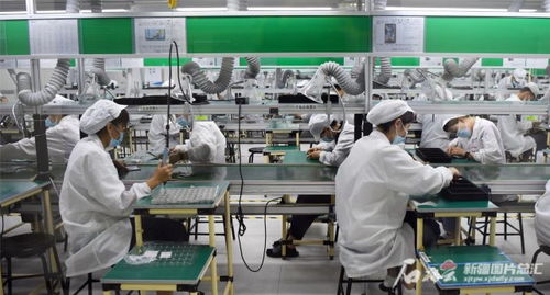 沿著高速看新疆 小手機走向大市場的技術開發之路